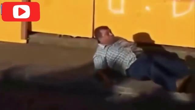 Бешеные быки | игры с быками в Испании