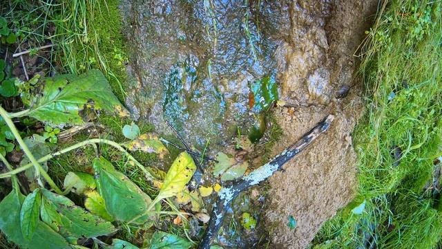 Водопад Радужный / Красивые места / Водопады Подмосковья / Релаксация / 4K смотреть онлайн