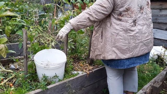 Навожу порядок на огороде. Кто со мной? смотреть онлайн