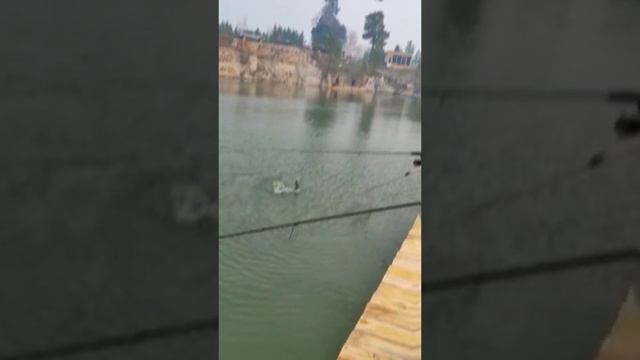 Рыбалка около Астаны на форель #fishing #рыбалка смотреть онлайн