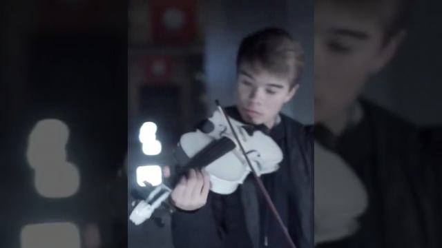 One Hour Of Funny Cats And Dogs #2022 Cats Crash Arena Turbo Stars Funny Moments Ep 468