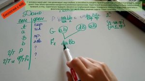 Задача на дигибридное скрещивание. ЕГЭ.
