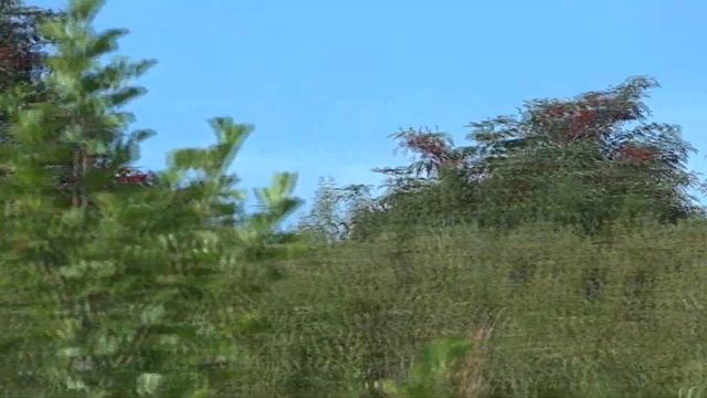 ТОЧНО БУЗИНА смотреть онлайн