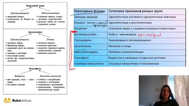 ЭКСТРА Эволюция- примеры заданий | БИОЛОГИЯ ЕГЭ 2021 смотреть онлайн