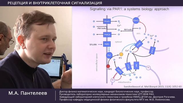 Рецепция и внутриклеточная сигнализация. Часть 2-я. смотреть онлайн