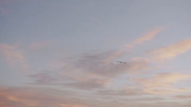 Звуки природы, пение птиц, Звуки Леса, для релаксации, сна, Медитации, Relax смотреть онлайн