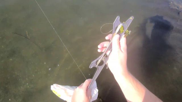 Вот это улов! Моя лучшая рыбалка на дорожки!!! смотреть онлайн