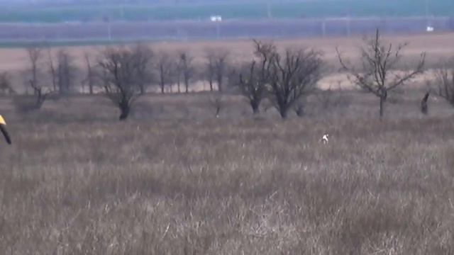 922 (48) Эпаньол Бретон Вейс Лысенко Ю смотреть онлайн