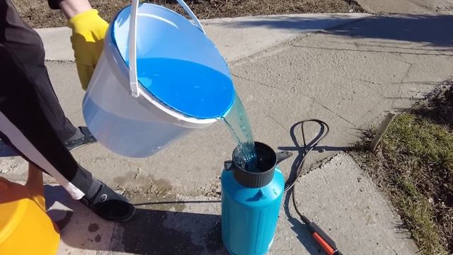 Осмотр сада после зимы опрыскивание и обработка сада весной от болезней и уничтожение вредителей смотреть онлайн