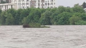 Мзымта в Сочи после ливня 11.07.2022