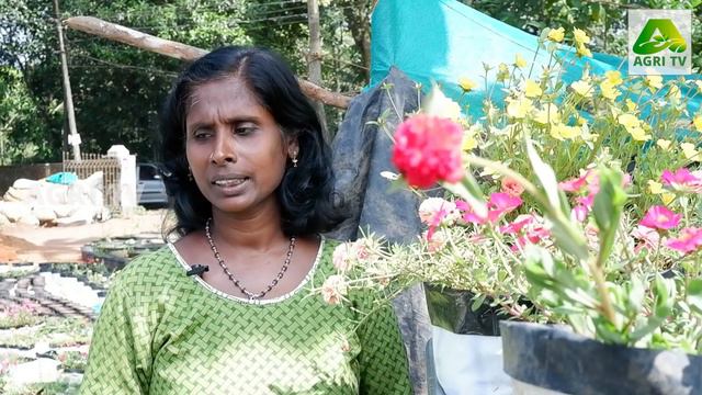 Pathumani Garden Kerala I 100 വെറൈറ്റി പത്തുമണി ചെടികളുമായി My Dreams Garden смотреть онлайн