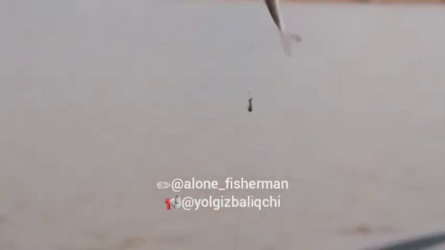 Alone fisherman #fish #fishing #fisherman #video #youtube смотреть онлайн