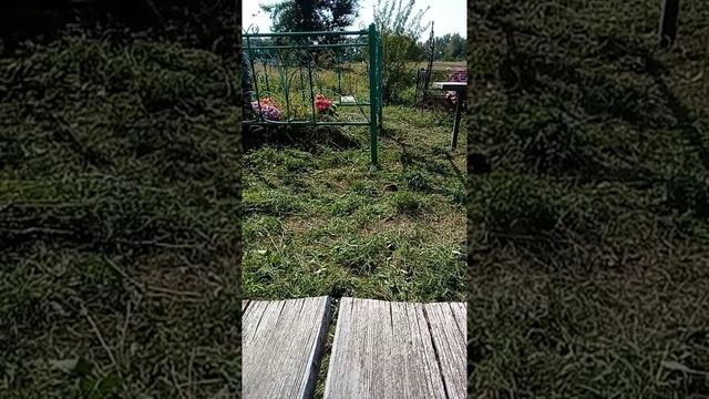 ВСЕ НА КЛАДБИЩЕ УБИРАТЬ МОГИЛЫ УСОПШИХ РОДНЫХ-ПОРА НАВОДИТЬ ПОРЯДОК. ТРАВОЙ ЗАРОСЛО ВСЕ КЛАДБИЩЕ... смотреть онлайн