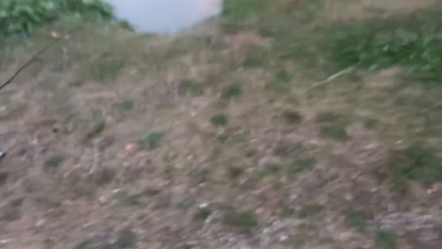 Рак на Малоистокском пруду. смотреть онлайн