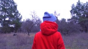 СЮРПРИЗ ДЛЯ ДАШИ! Рома Устроил ПРАЗДНИК Соня Схитрила