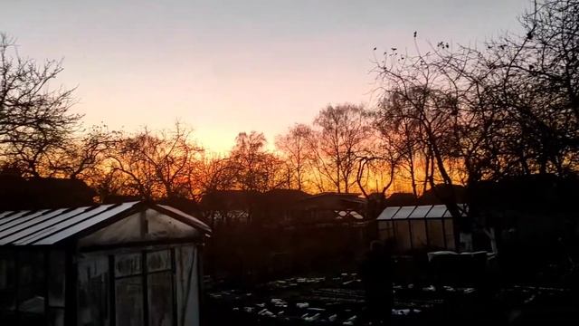 #132 Укрыли виноград. Зарево заката. Ужин. смотреть онлайн