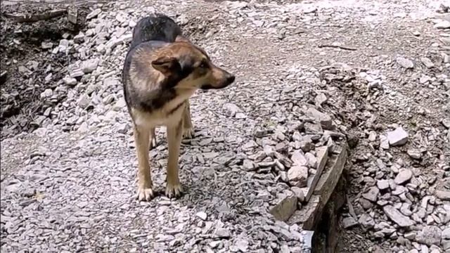 ПРОГУЛКИ В ГЕЛЕНДЖИКЕ 56 смотреть онлайн