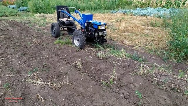 ОБКОПКИ / РОЕМ КАРТОШКУ ЛАПОЙ НА ЧЕТВЕРТОЙ ПЕРЕДАЧИ смотреть онлайн