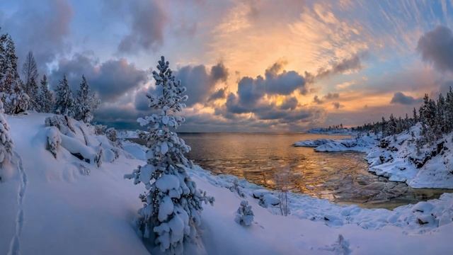 Vangelis. First Approach