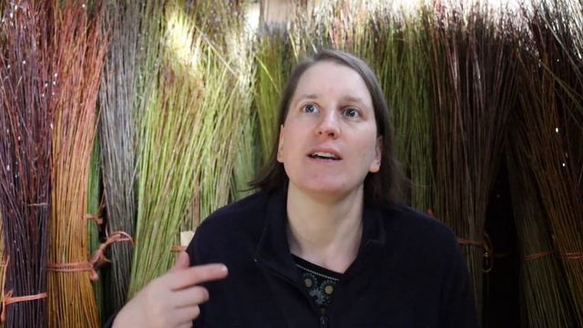 Grading willow and update on willow midge infestation смотреть онлайн