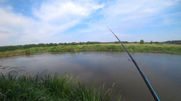 Сказочная снасть-ПОЛУДОНКА! Рыбалка на реке Свислочь!