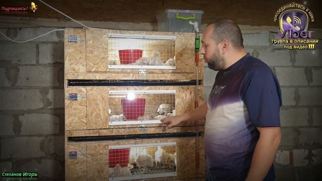 Бройлеры 17 дней Взвешивание Откуда Берутся Намины? смотреть онлайн