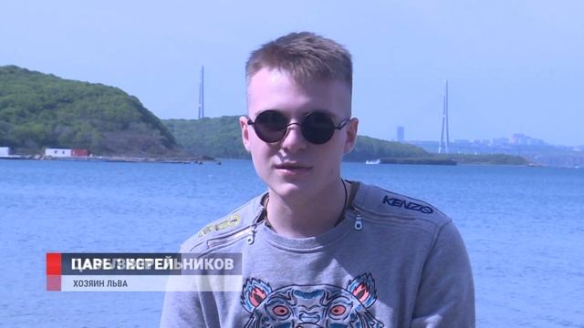 Необычный домашний питомец - африканский лев смотреть онлайн