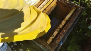 Результат ошеломил!!!! Сублиматор щавелевой кислоты газовый ..