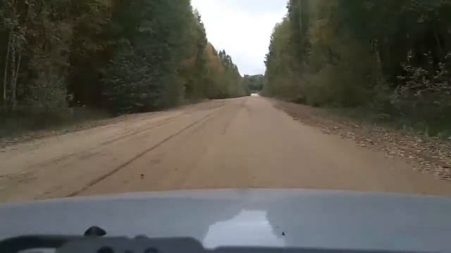 Сазоново - Чагода - Бабаево смотреть онлайн