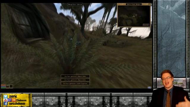 Where is your Nerevarine/CoC/Dovahkiin Now? Random Responses: A Continuity Problem - Elder Scrolls смотреть онлайн