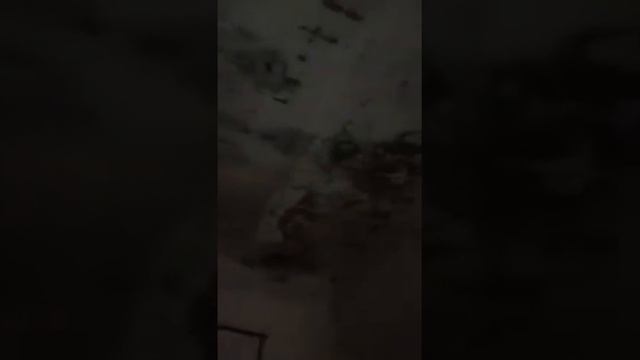 После этого видео Вы перестанете есть куры . смотреть онлайн
