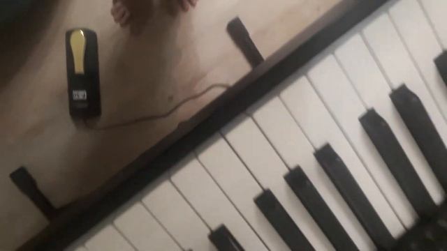 Педаль Brahner P-50 для пианино смотреть онлайн