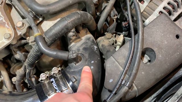 The Forester gets to breathe! смотреть онлайн