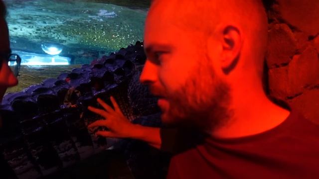Is SEA LIFE Melbourne Aquarium worth a visit? | Vlog | смотреть онлайн