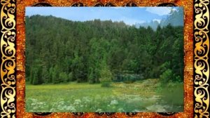 Тайга России и её обитатели