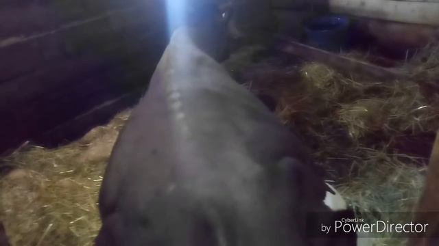 Чем дальше тем страшнее... смотреть онлайн