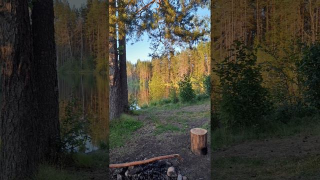 Озеро Светлое в Карелии