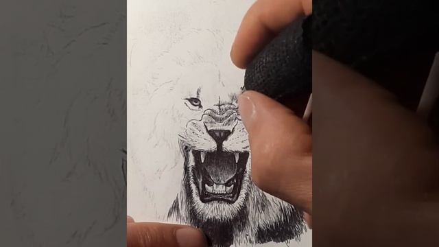 Drawing a lion смотреть онлайн