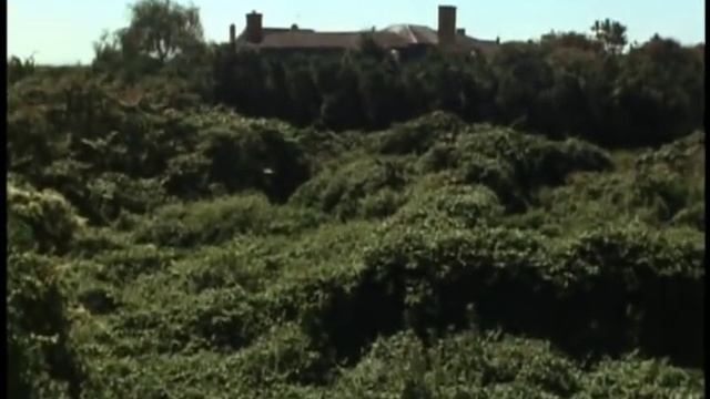 GREY GARDENS 02 Title 01 смотреть онлайн