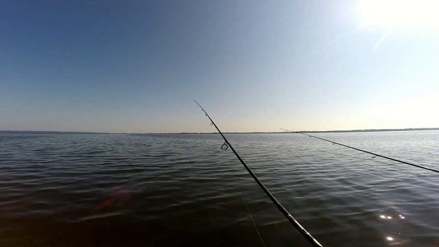 Открытие лодочного сезона на Днепродзержинском водохранилище! Как ловить судака с лодки? смотреть онлайн