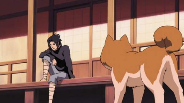 H0J4_443 AnimesDC.com