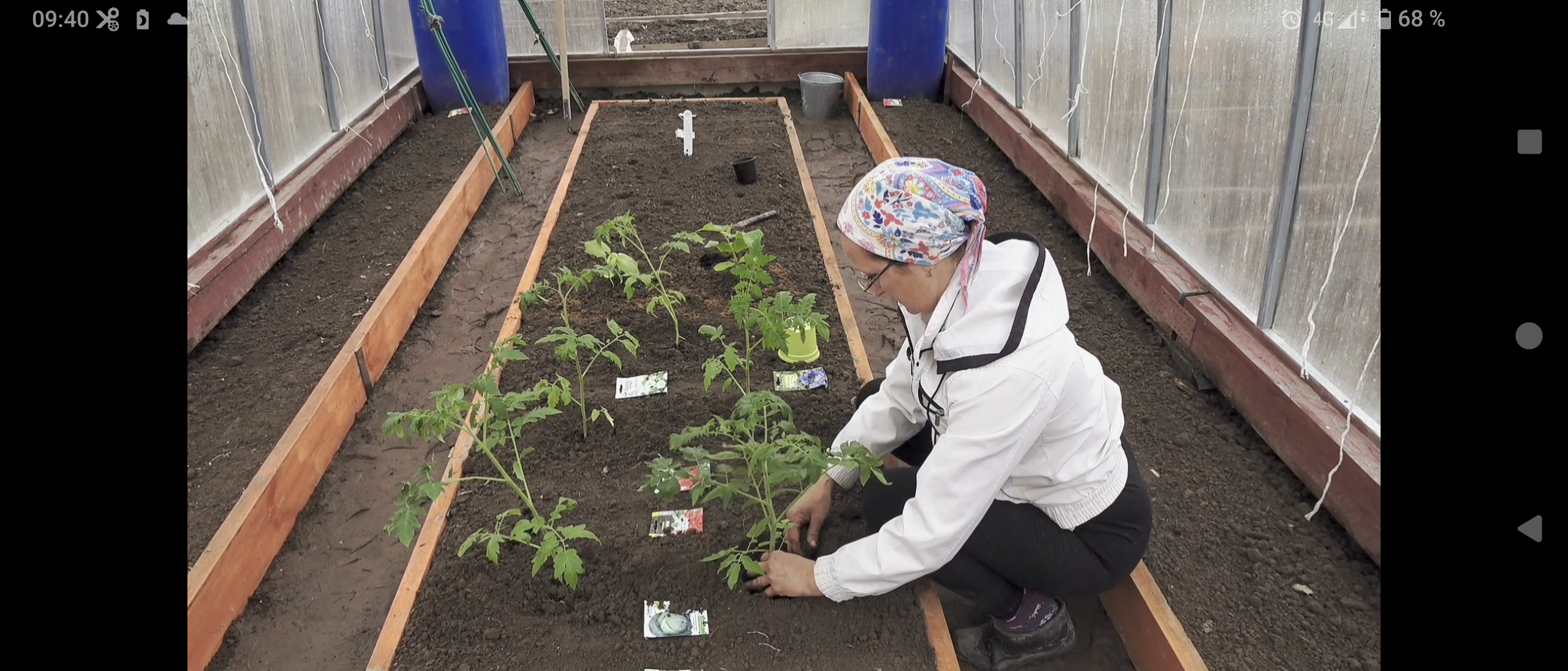 6 соток 19 апреля 2024 года.