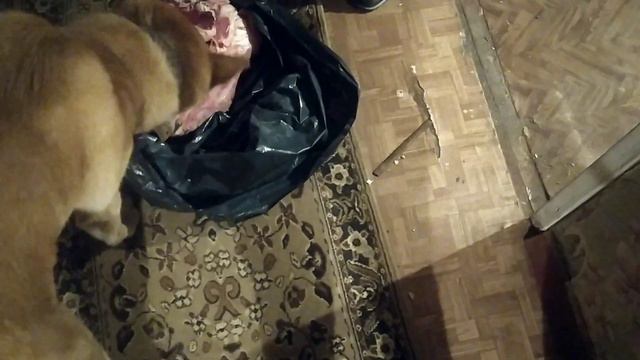 ДЕНЬ ПЕРВЫЙ. У НАС СПЁРЛИ КОРОВИЙ ПЯТАЧОК смотреть онлайн