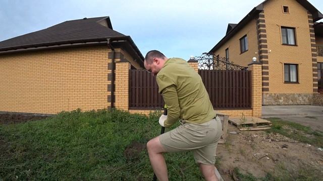 На огороде! Посадили ель и набрали грибов. смотреть онлайн