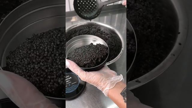 Как раскладывают черную икру в емкость 500 грамм / Черная икра #shorts смотреть онлайн