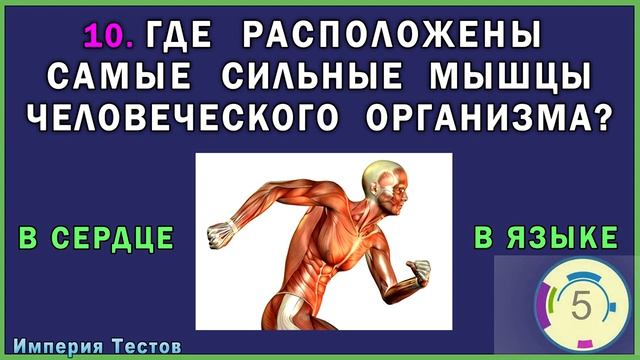 СКОЛЬКО ТЫ ЗНАЕШЬ? Пройди ТЕСТ НА ЭРУДИЦИЮ. Империя Тестов смотреть онлайн