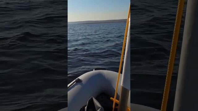 На складном парусном РИБе круто к ветру смотреть онлайн