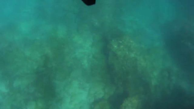 Море волнами , снимает цепочки, очки, баретки итд! смотреть онлайн