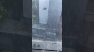 Дорога на пляж Floria Beach Hotel