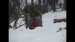 Тайфун Сибирь  трелёвка леса навесной лебёдкой ТАЙФУН на ДТ - 75